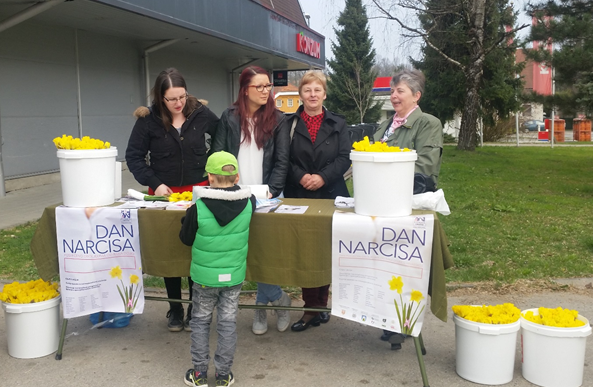 Poziv na obilježavanje dobrotvorne akcije povodom „Dana narcisa“ ispred Konzuma u Ozlju, 24.03.2018, subota od 09:00 – 12:00 sati
